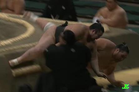 浅香山親方 負傷【動画】ネットの反応