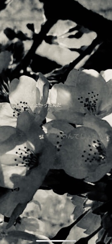 足立梨花 インスタストーリー