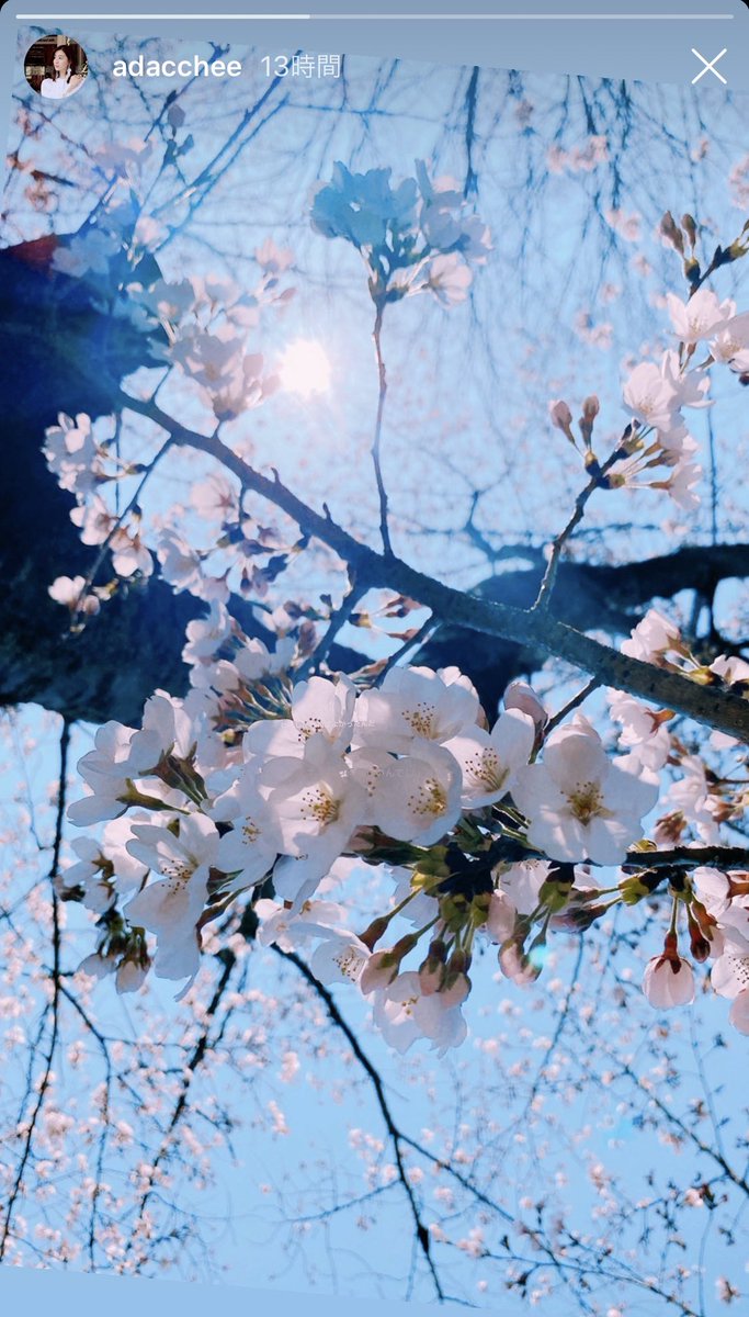 足立梨花 インスタストーリー