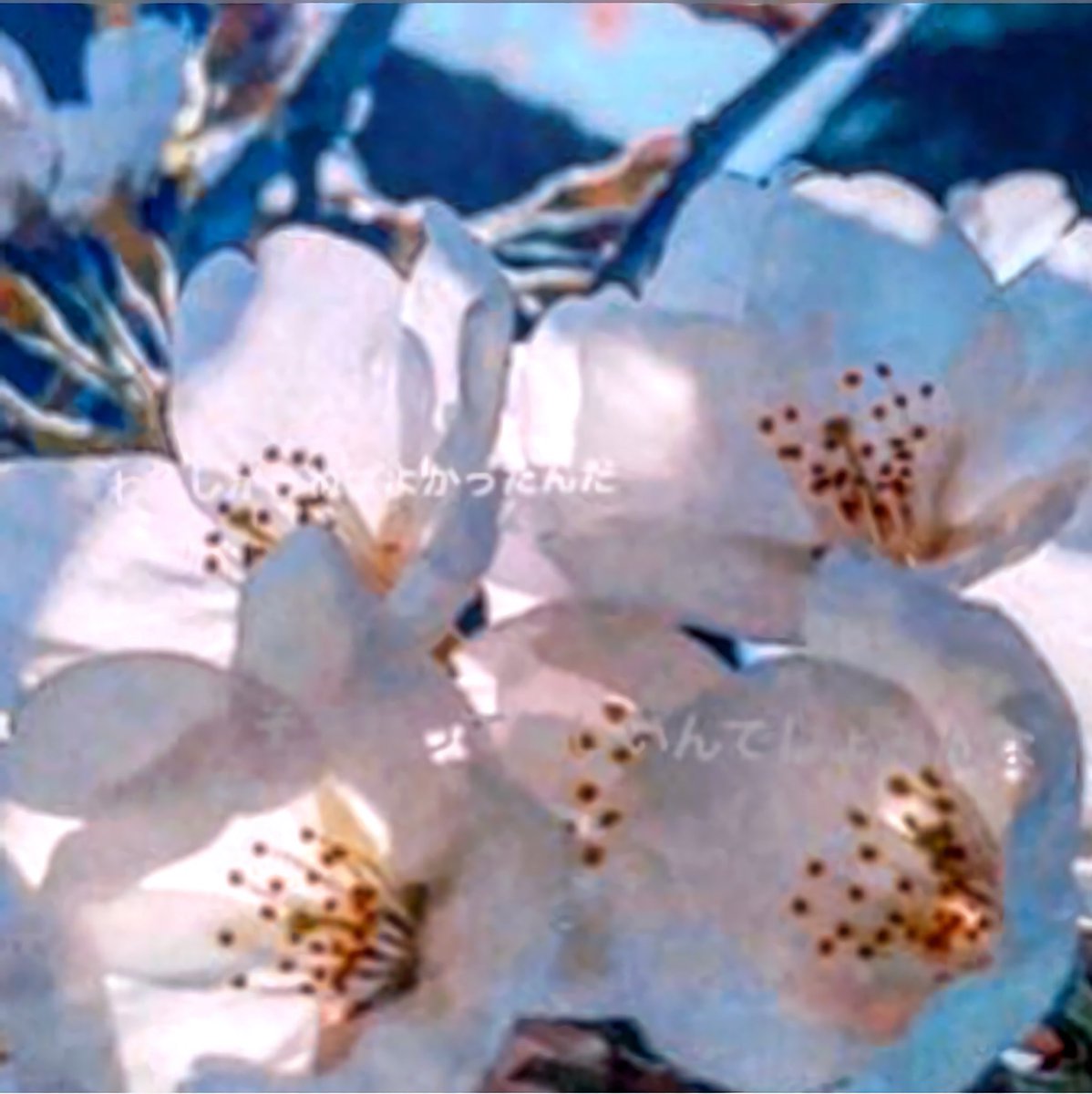 足立梨花 インスタストーリー