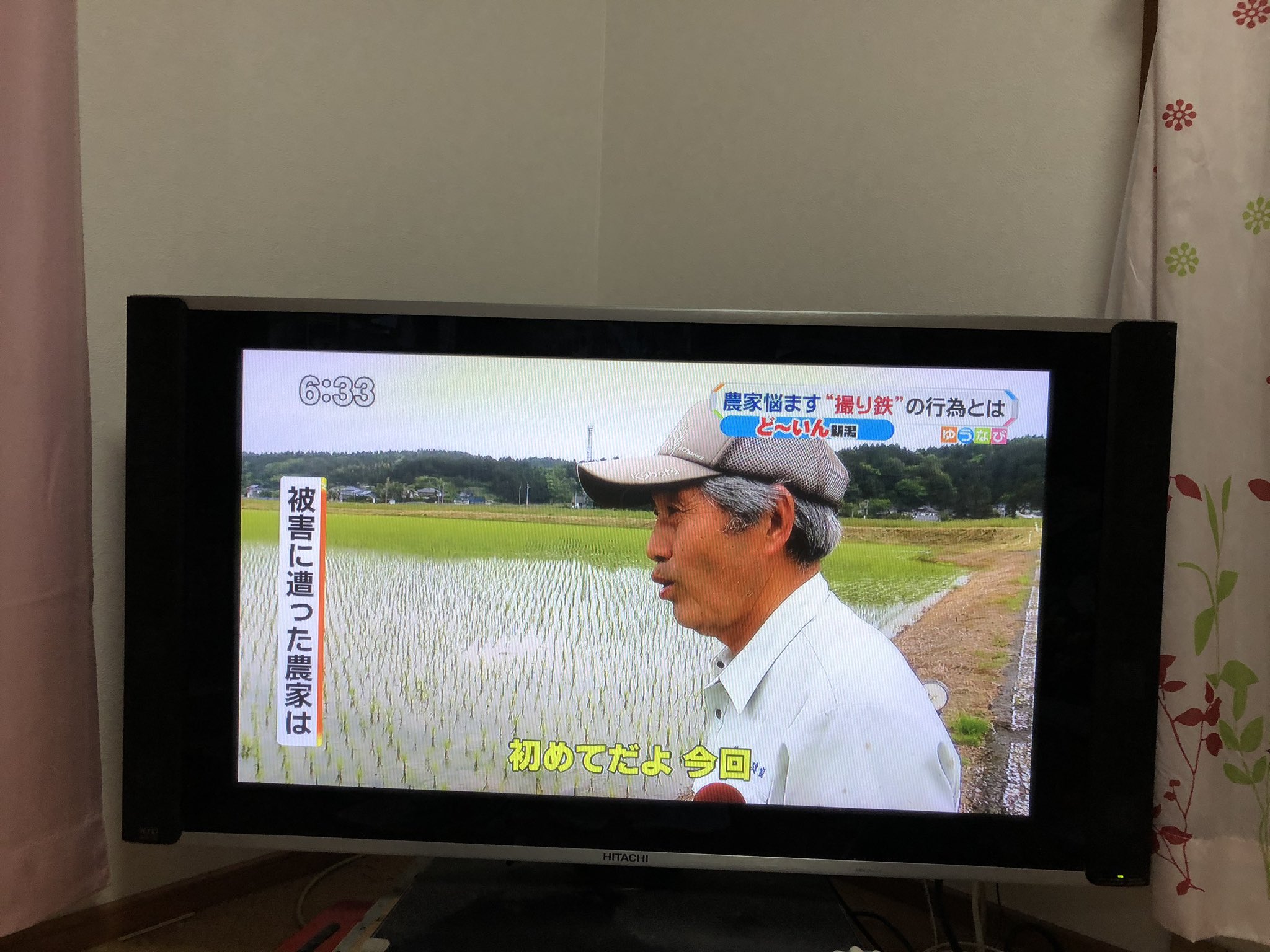 撮り鉄 田んぼ